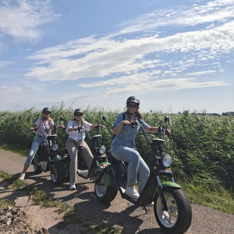 Group on e-choppers beside the reeds near Giethoorn