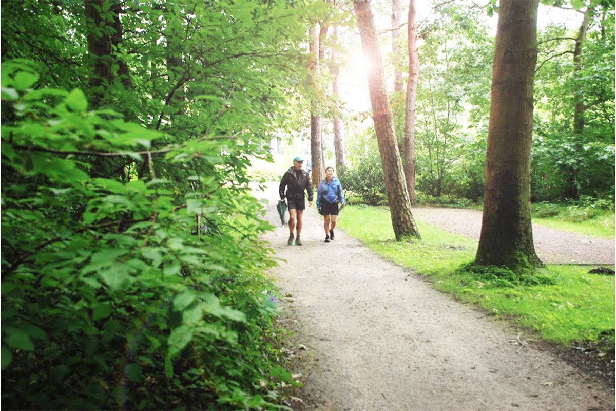 Wanderweg zwischen Bäumen bei Giethoorn