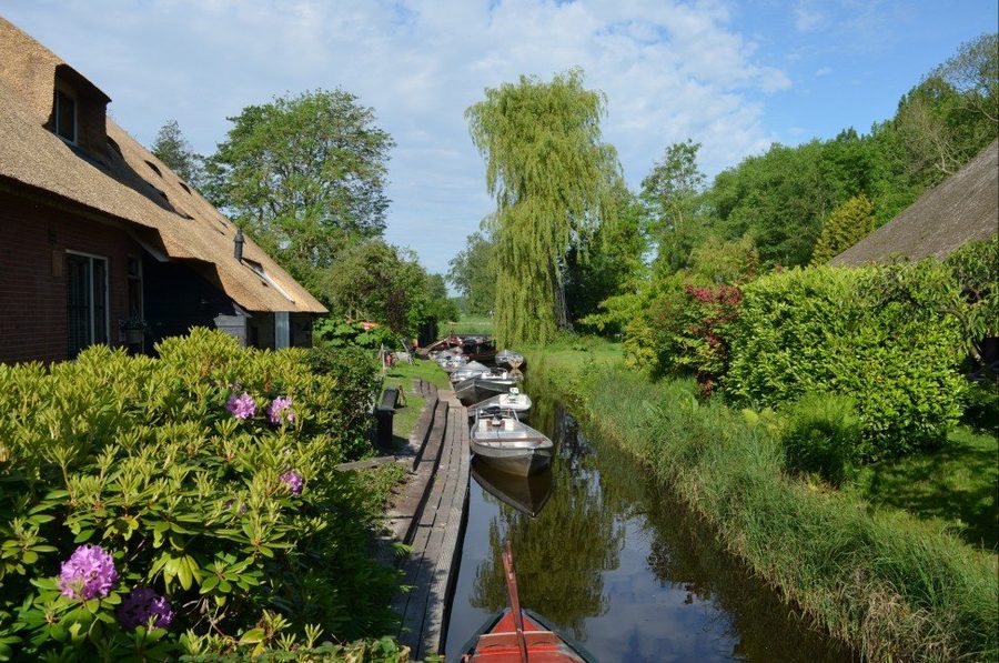 Schmale Gracht mit Booten, reetgedecktem Bauernhaus und blühenden Hortensien in Giethoorn