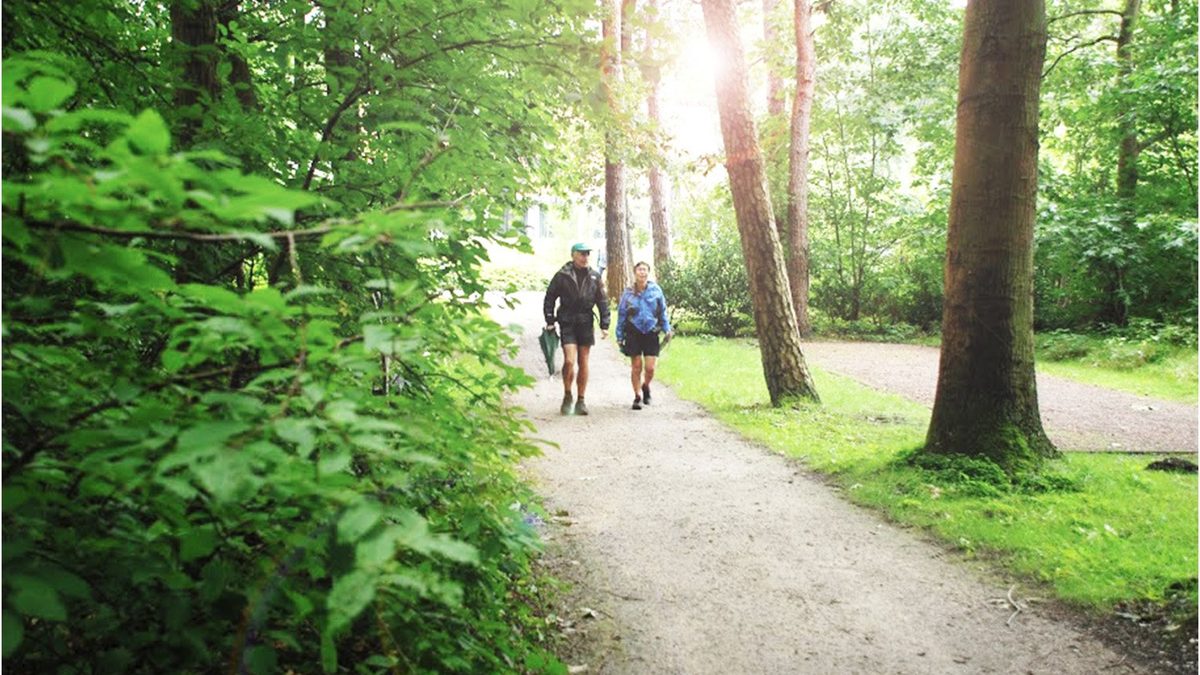 Wanderer auf einem Waldweg in der grünen Umgebung von Giethoorn