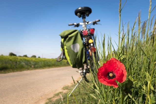 Fahrrad mit Fahrradtasche an einem Feldweg, im Vordergrund eine rote Mohnblume
