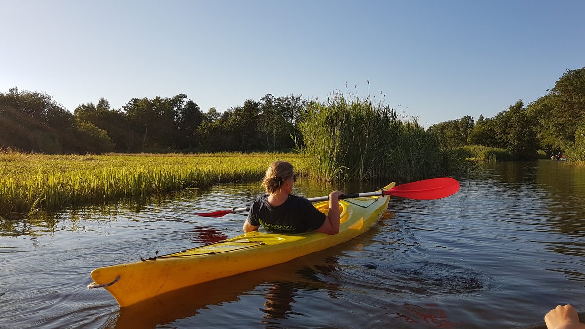 Kajak auf dem Wasser bei Giethoorn, zu mieten bei Arendshorst Buitenactiviteiten
