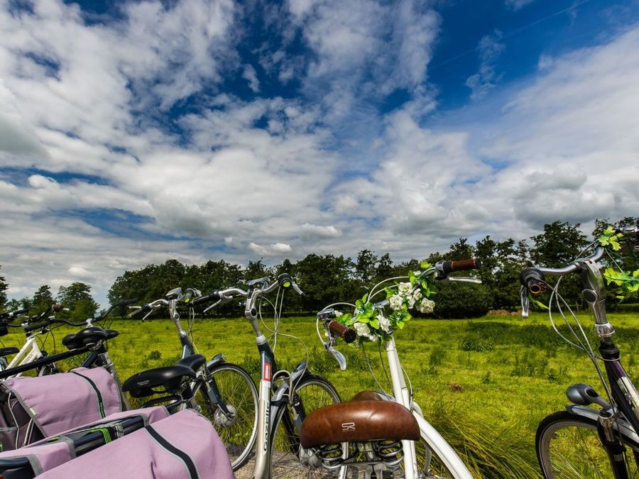 Parked bikes beside a meadow under a cloudy sky near Giethoorn