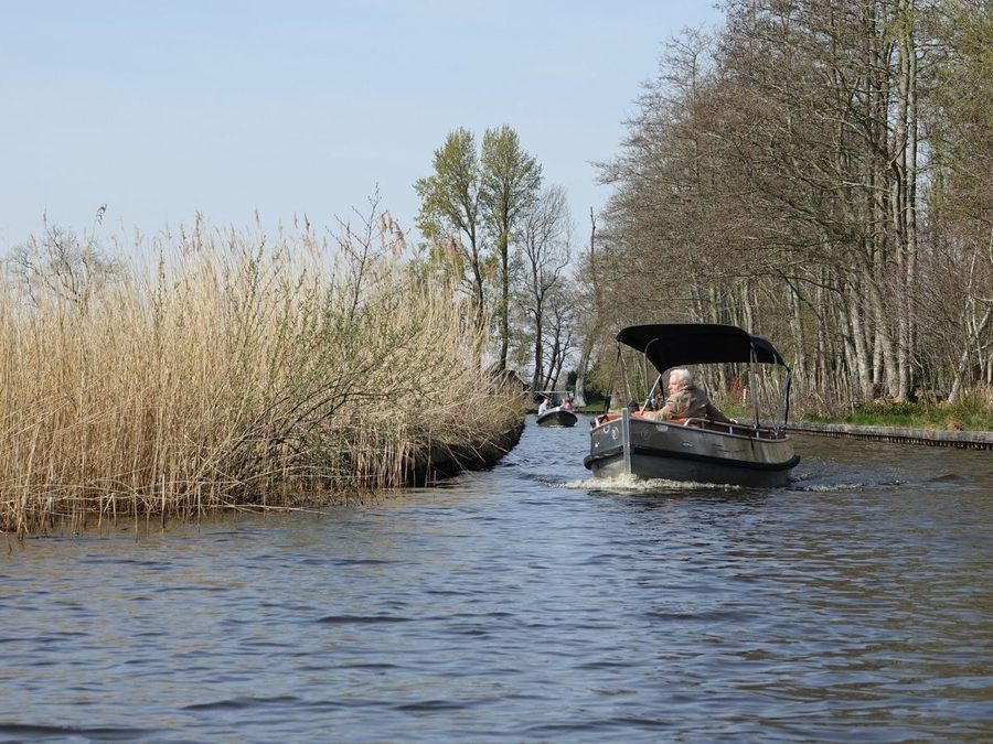 Elektroboot von Restaurant 141 fährt am Schilf entlang bei Giethoorn