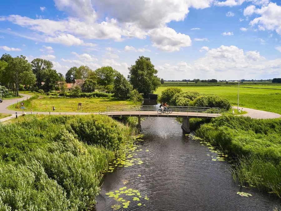 Cyclists on a small bridge over a canal between reeds and meadows