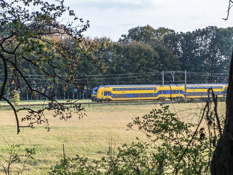 Yellow and blue NS train between meadows and trees