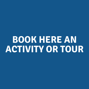 Book HERE AN Activity or Tour in giethoorn